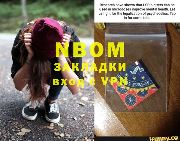 прущие грибы Абинск