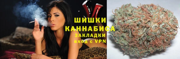 прущие грибы Абинск