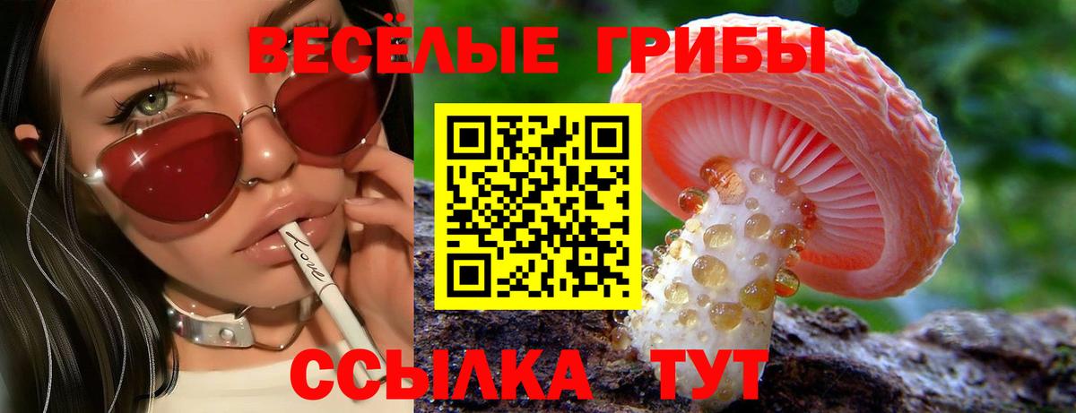 Кизилюрт  Галлюциногенные грибы Magic Shrooms  Вход с VPN 