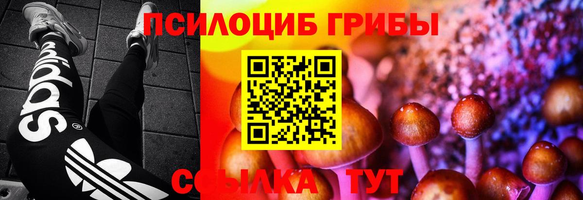 Галлюциногенные грибы мухоморы Кизилюрт
