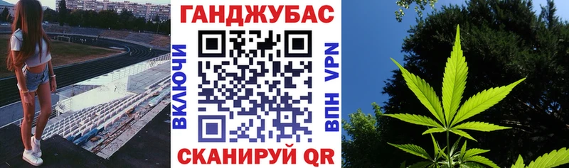 Бошки марихуана семена  как найти закладки  Кизилюрт 